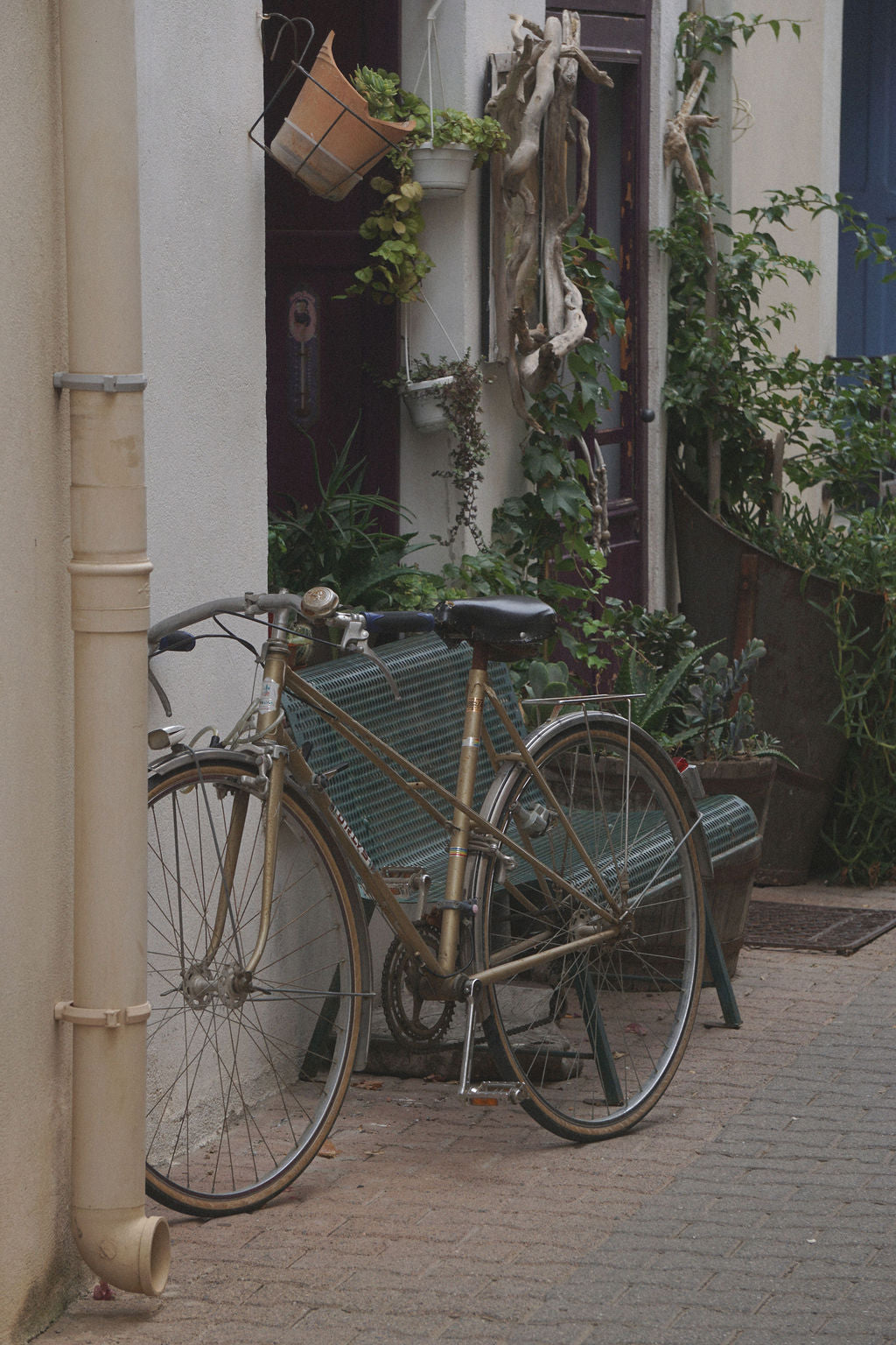 Life-ish Daily Planner | ADHD-Friendly Printable Planner for Busy Moms & Creative Entrepreneurs